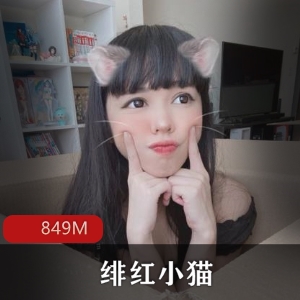 斗鱼妹子绯红小猫表演合集