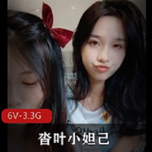 沓叶小妲己菜鸟驿站互C自娱自乐6V-3.3G